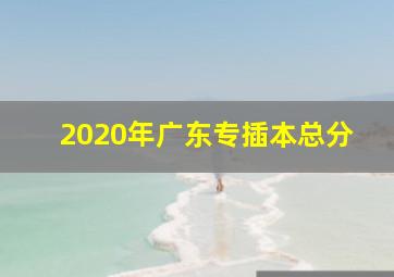 2020年广东专插本总分