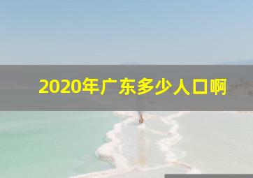 2020年广东多少人口啊