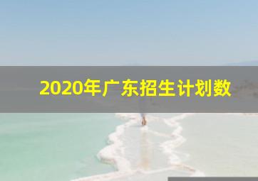 2020年广东招生计划数