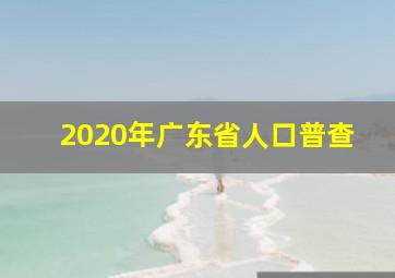 2020年广东省人口普查