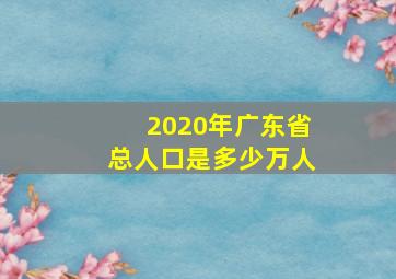 2020年广东省总人口是多少万人