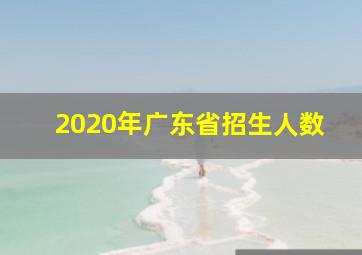 2020年广东省招生人数