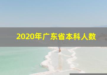 2020年广东省本科人数