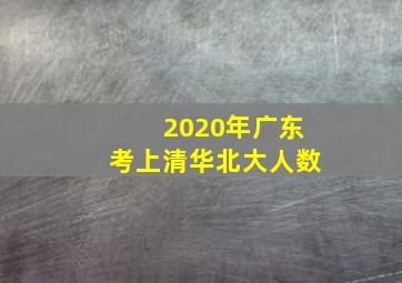 2020年广东考上清华北大人数