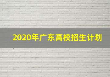 2020年广东高校招生计划