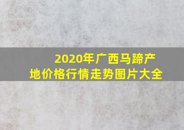 2020年广西马蹄产地价格行情走势图片大全