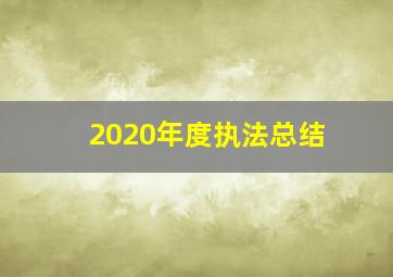 2020年度执法总结