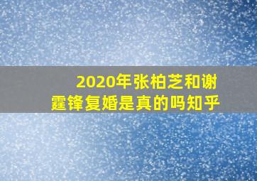 2020年张柏芝和谢霆锋复婚是真的吗知乎