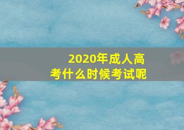 2020年成人高考什么时候考试呢