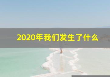 2020年我们发生了什么