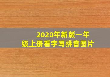 2020年新版一年级上册看字写拼音图片