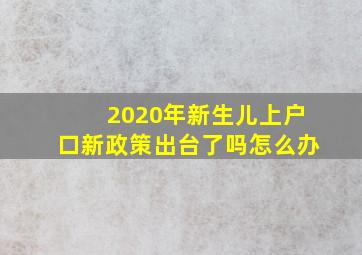 2020年新生儿上户口新政策出台了吗怎么办