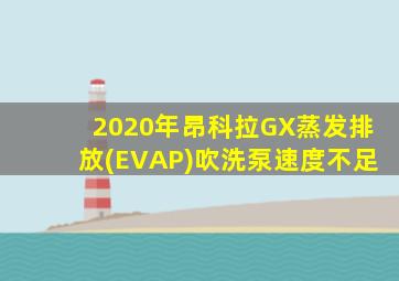 2020年昂科拉GX蒸发排放(EVAP)吹洗泵速度不足