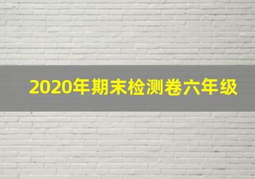 2020年期末检测卷六年级