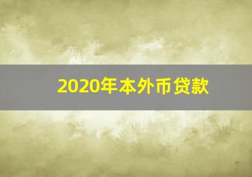 2020年本外币贷款