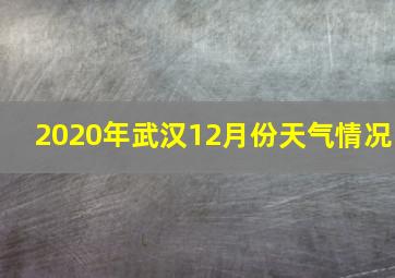 2020年武汉12月份天气情况