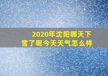 2020年沈阳哪天下雪了呢今天天气怎么样