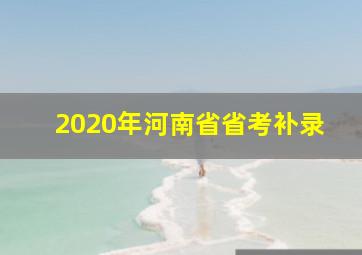 2020年河南省省考补录