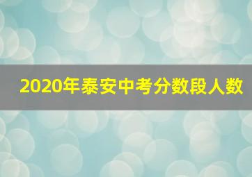 2020年泰安中考分数段人数