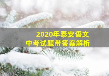 2020年泰安语文中考试题带答案解析