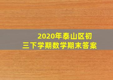 2020年泰山区初三下学期数学期末答案