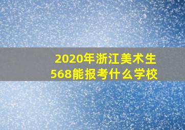 2020年浙江美术生568能报考什么学校