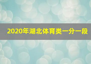 2020年湖北体育类一分一段