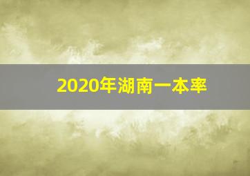 2020年湖南一本率