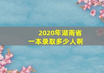 2020年湖南省一本录取多少人啊