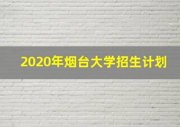 2020年烟台大学招生计划