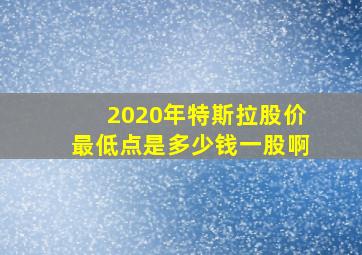 2020年特斯拉股价最低点是多少钱一股啊