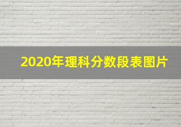 2020年理科分数段表图片