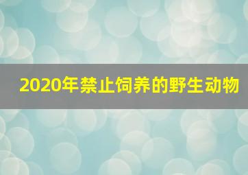 2020年禁止饲养的野生动物