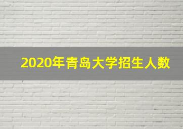 2020年青岛大学招生人数