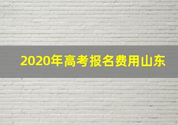 2020年高考报名费用山东