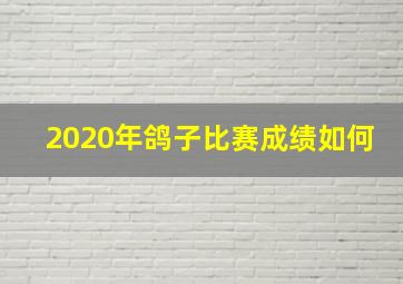 2020年鸽子比赛成绩如何