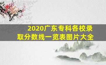 2020广东专科各校录取分数线一览表图片大全