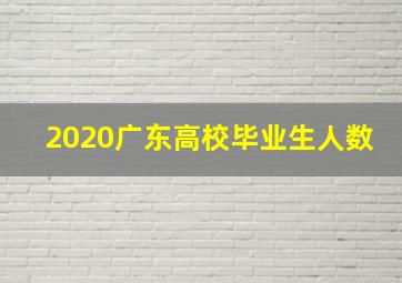 2020广东高校毕业生人数