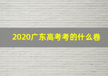 2020广东高考考的什么卷