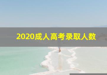 2020成人高考录取人数