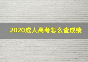 2020成人高考怎么查成绩