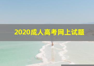 2020成人高考网上试题