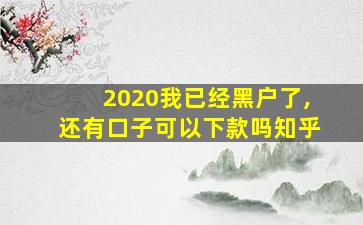 2020我已经黑户了,还有口子可以下款吗知乎