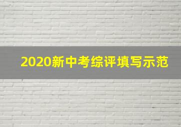 2020新中考综评填写示范