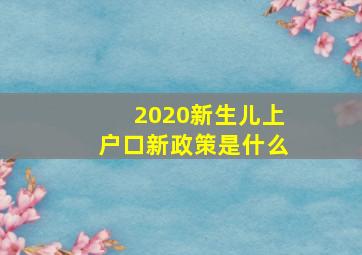 2020新生儿上户口新政策是什么