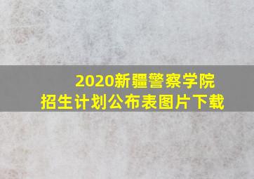 2020新疆警察学院招生计划公布表图片下载