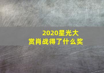 2020星光大赏肖战得了什么奖