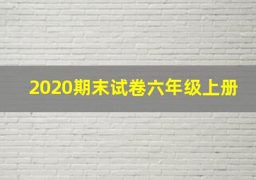 2020期末试卷六年级上册