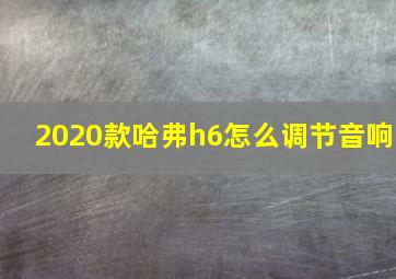 2020款哈弗h6怎么调节音响