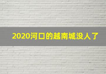 2020河口的越南城没人了